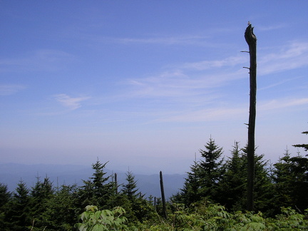 2006-08-26 020